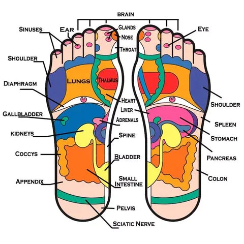 Acupressure and Magnetic Therapy Slippers for Full Body Blood Circulation Foot Massager Pain Relief Slippers For Men and Women